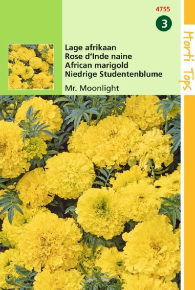 French marigold Moonlight (Tagetes erecta) 150 seeds